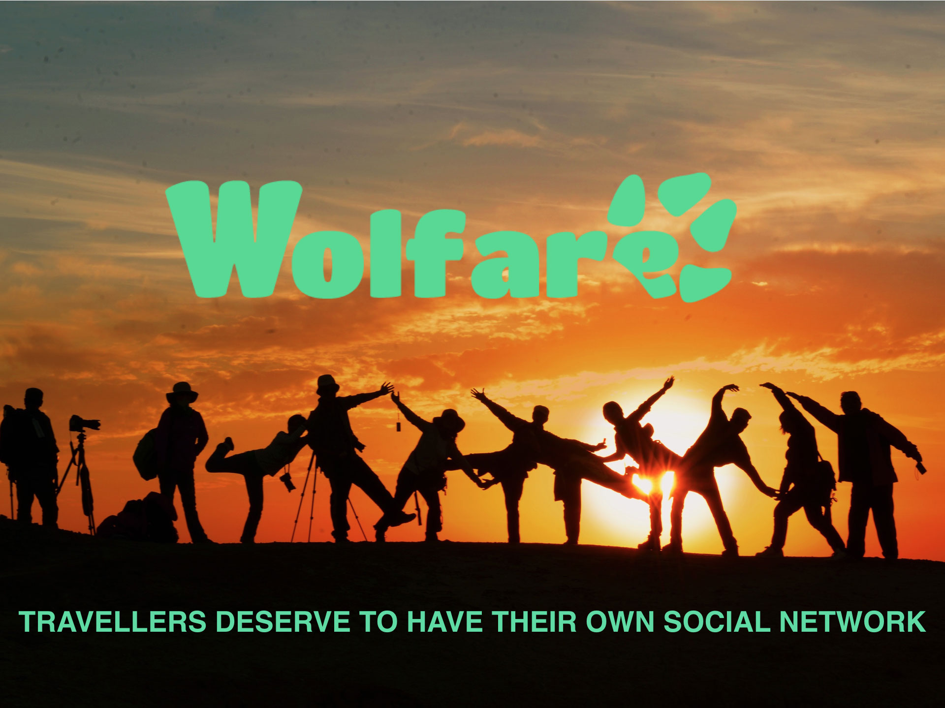 wolfare-social-network.jpg