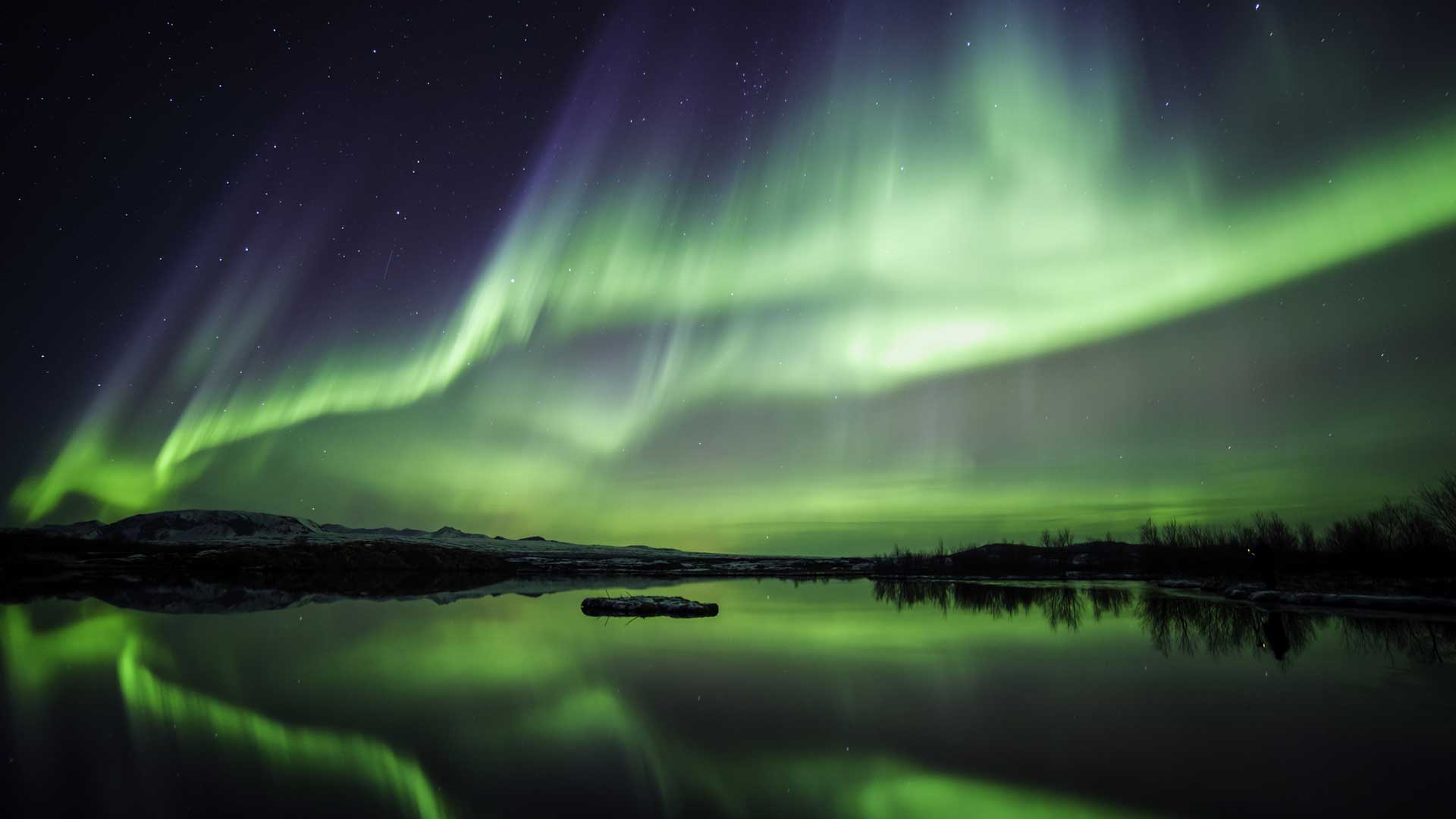 iceland-northen-lights-wolfare