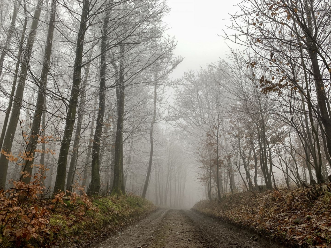 Z Svätého Jura na Biely Kríž